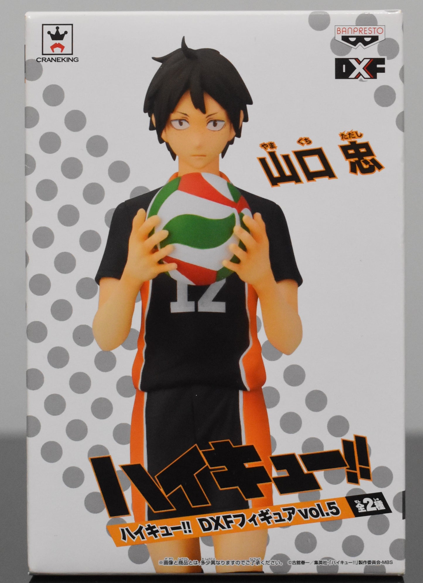 Yamaguchi Tadashi DXF Figure